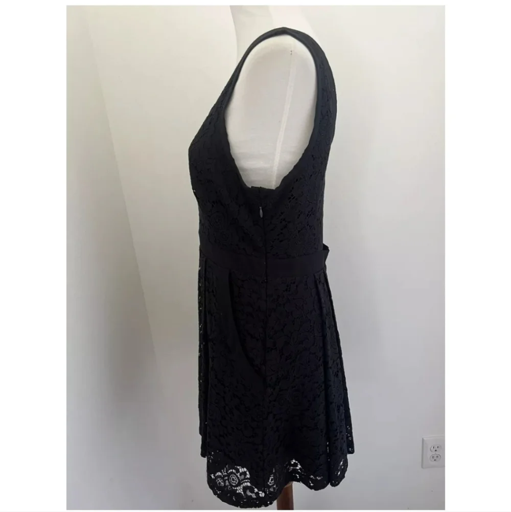 Free People Lovely in Lace Fit And Flare Dress Woman's Size XSmall V Neck